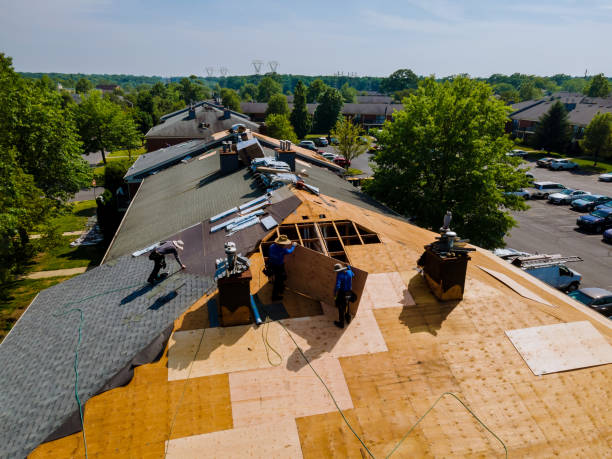 Trusted Storm Damage Roof Repair service in Dumont, CO - Brentwood Metal Roofing